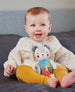 Organic Activity Toy