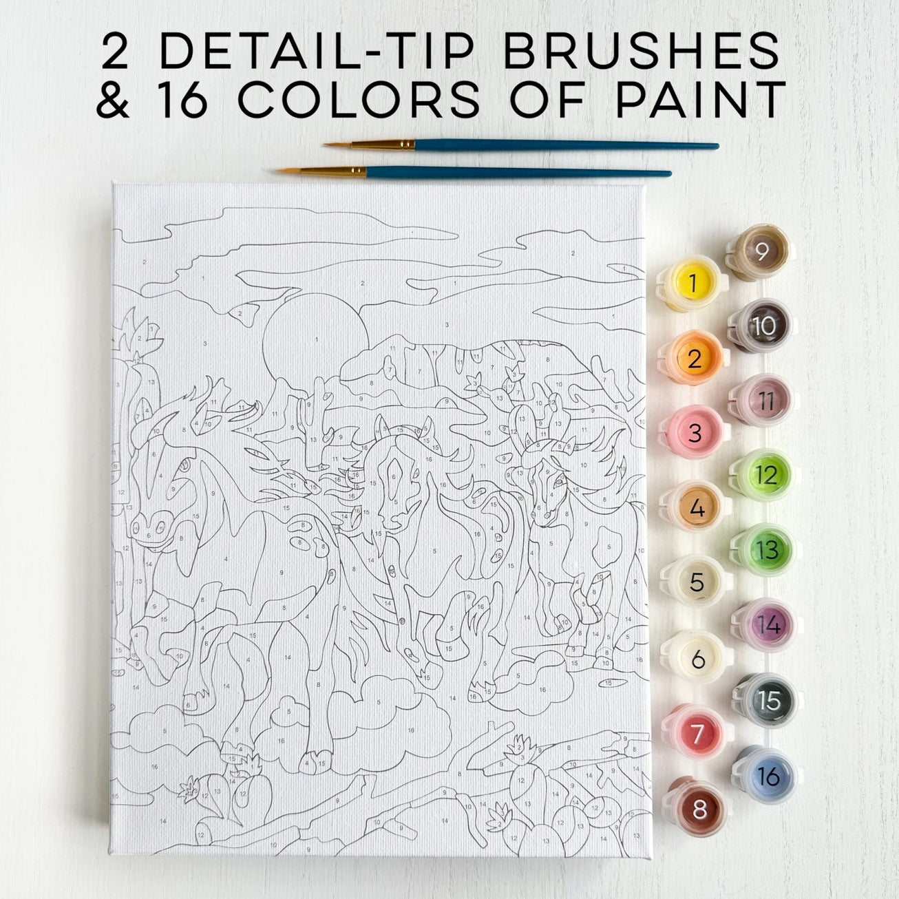 Paint By Numbers