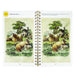 Smithsonian Spot the Difference Natural Wonders Book