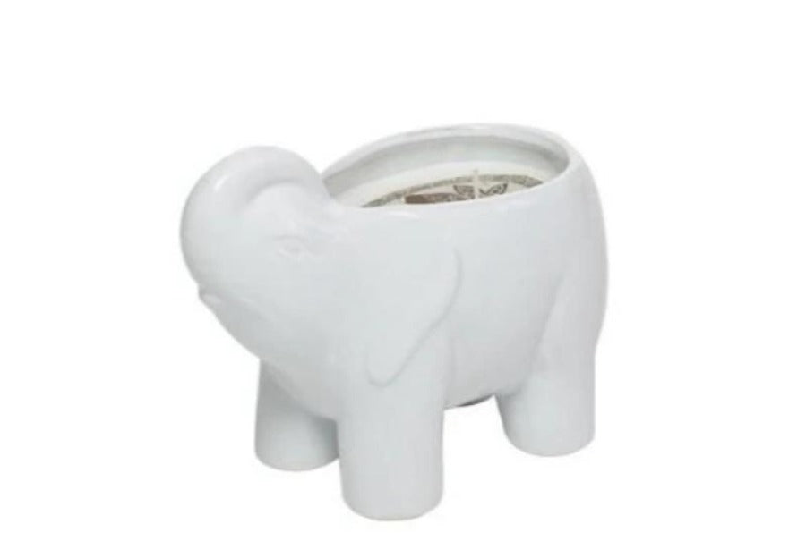 Lotus & Lily White Elephant Candle