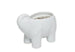 Lotus & Lily White Elephant Candle