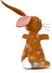 Velveteen Rabbit