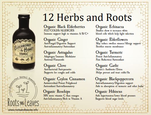 Elderberry & Honey Tonic