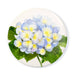 Pocket Mirror