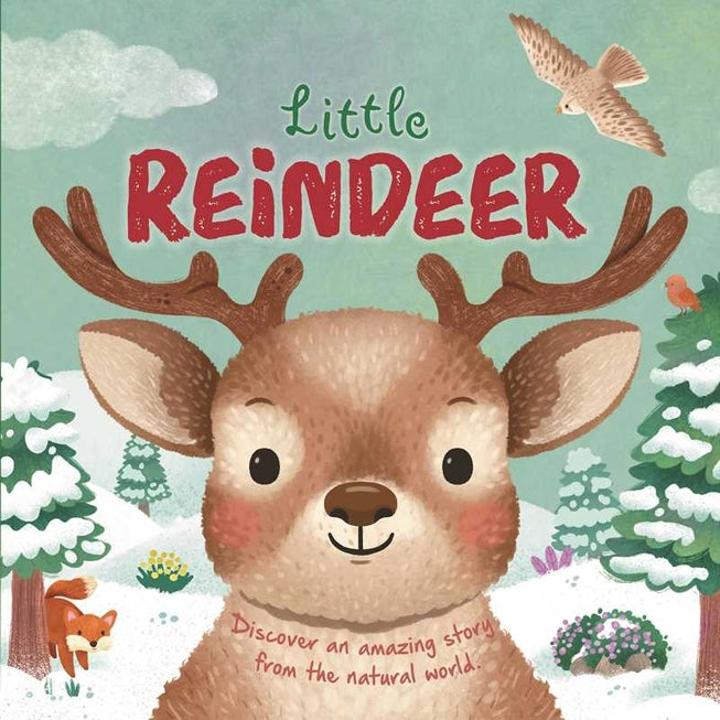 Nature Stories: Little Reindeer By Igloobooks