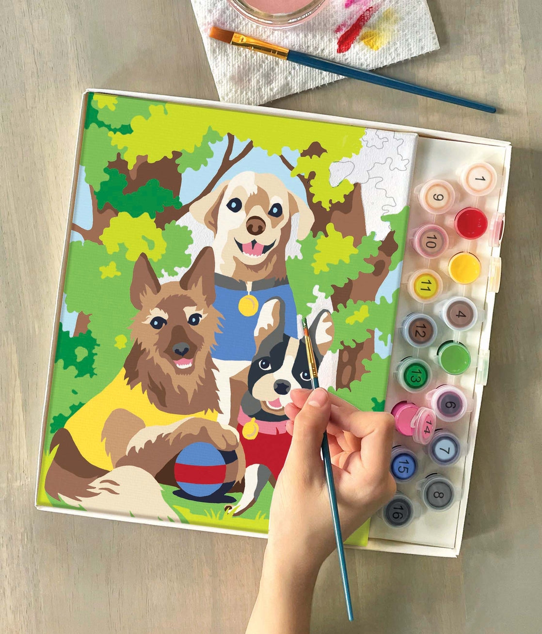 Paint By Numbers