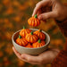 PUMPKIN SPICE MERINGUES