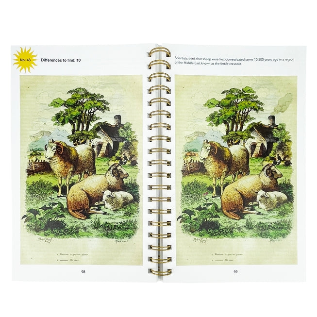 Smithsonian Spot the Difference Natural Wonders Book