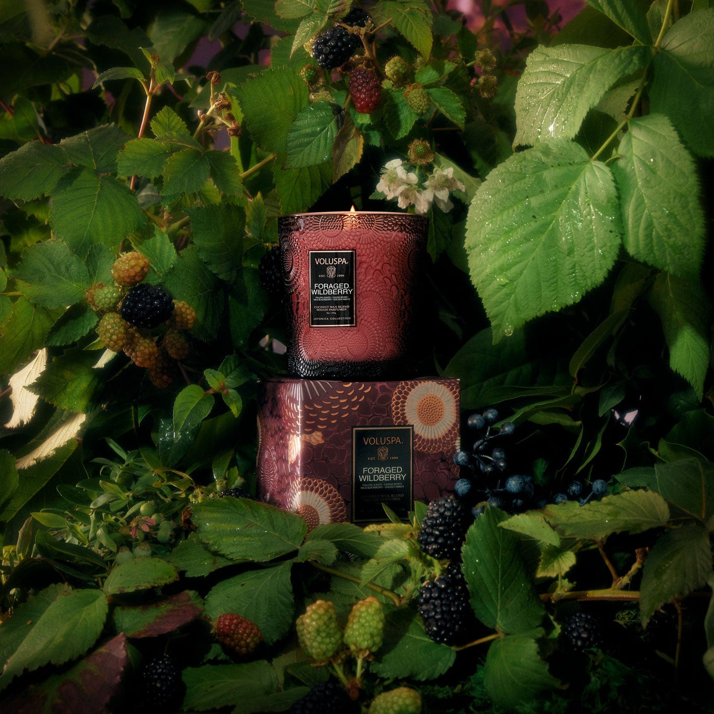 Foraged Wildberry Classic Candle