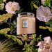 Jasmine Midnight Blooms Large Jar Candle
