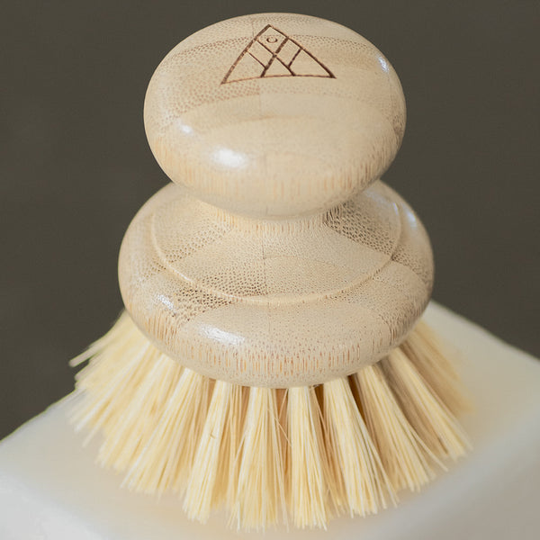Casa Agave Dish Washing Brush