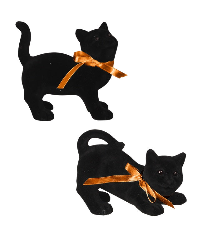 Black Cat Magic 2/A