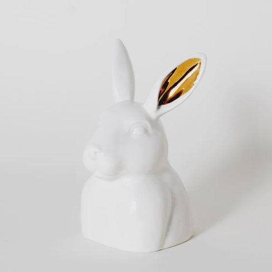 Rabbit Container